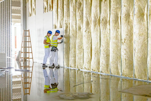 Best Insulation Maintenance and Repair in Wood River, IL